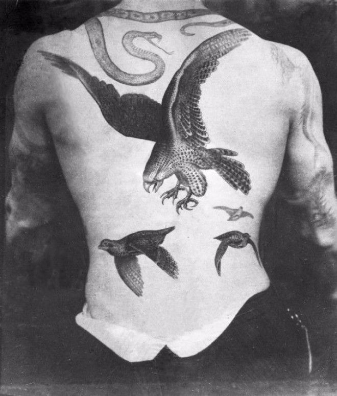 Роскошные татуировки Викторианской эпохи: херувимы, драконы и гербы 34