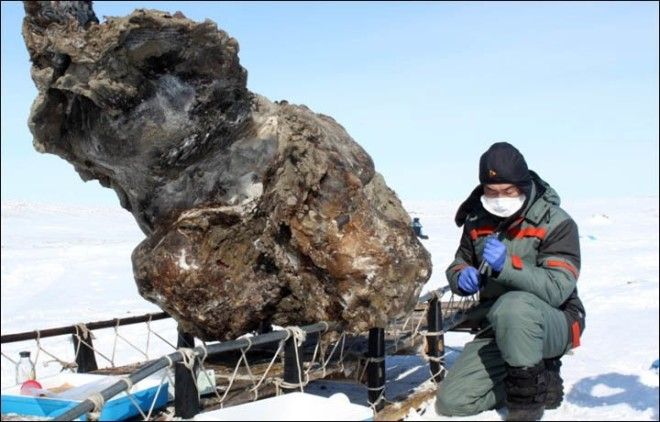 Что скрывают льды: 12 страшных находок, обнаруженных в ледниках 42