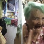 80-летняя бабушка, несмотря на запрет родных, осуществила давнюю мечту и покрасила волосы в зелёный