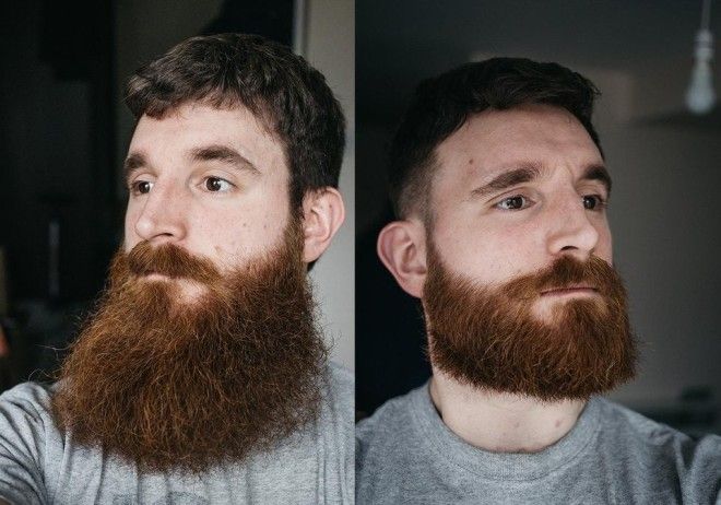 20 фото показывающих разницу между ухоженной бородой и заброшенными кустами 41