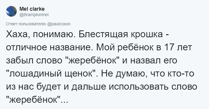 Люди в интернете рассказали, как ухитрялись забыть простое слово и выпутывались из этой ситуации 37