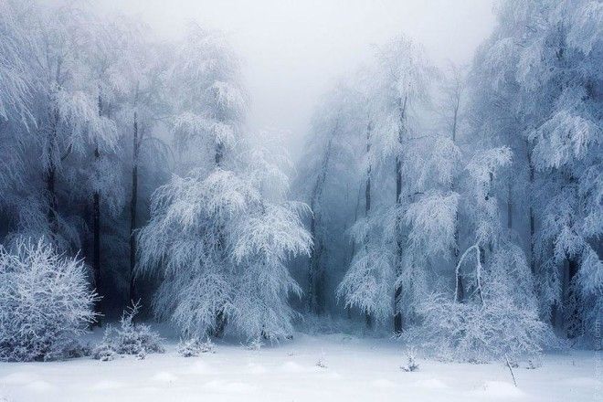 Восхитительные зимние пейзажи 44