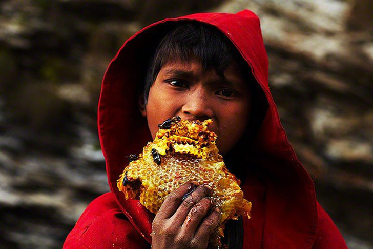 “Сладкое золото”: история о том, как добывают дикий мед в Непале 31