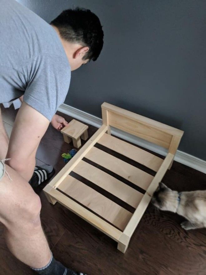 S4 классных фото кровати для кошки которую можно построить самому