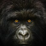 National Geographic назвал снимки, которые победили в конкурсе на лучшую трэвел-фотографию 2019 года