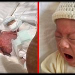 “Живое чудо”: в Японии выходили самого крошечного малыша в мире весом в 268 граммов