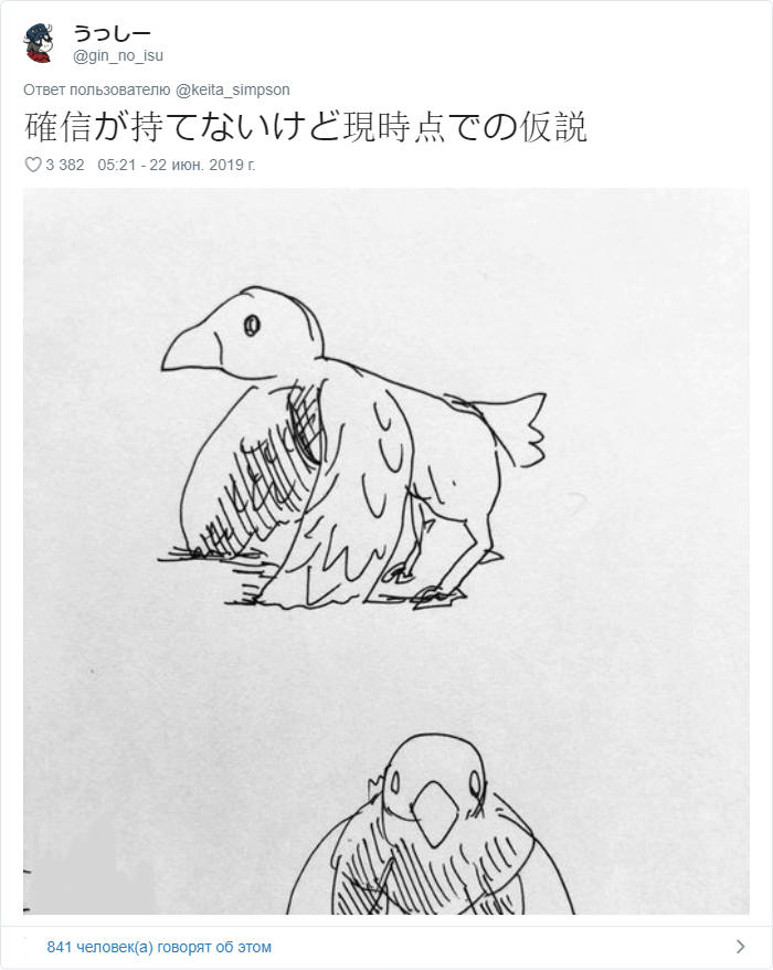«Мускулистая ворона» покорила соцсети: пользователи рисуют арты, а учёные пытаются объяснить её позу 58