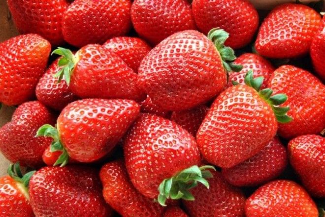 Запасайтесь витаминами: как правильно замораживать ягоды и фрукты 27