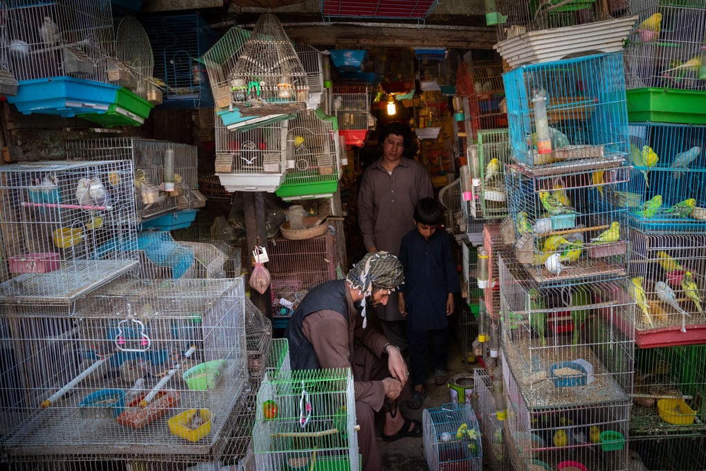 Фотограф из Голландии ломает стереотипы и показывает, как на самом деле живут люди в Афганистане 92