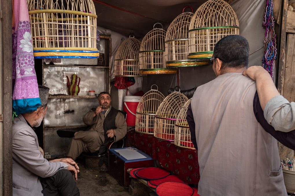 Фотограф из Голландии ломает стереотипы и показывает, как на самом деле живут люди в Афганистане 93