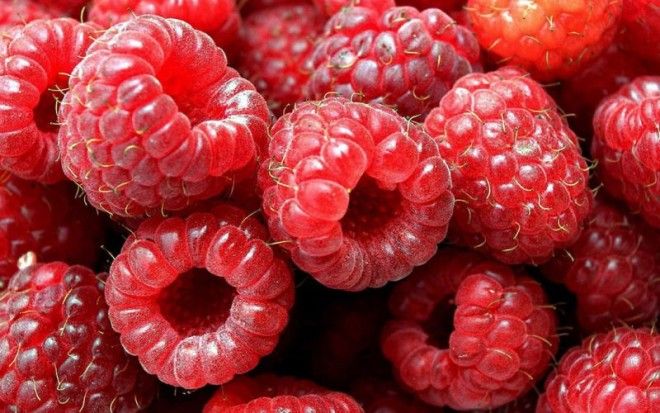 Запасайтесь витаминами: как правильно замораживать ягоды и фрукты 29