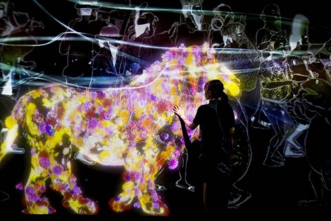 В Японии открыли первый в мире интерактивный музей цифрового искусства 27