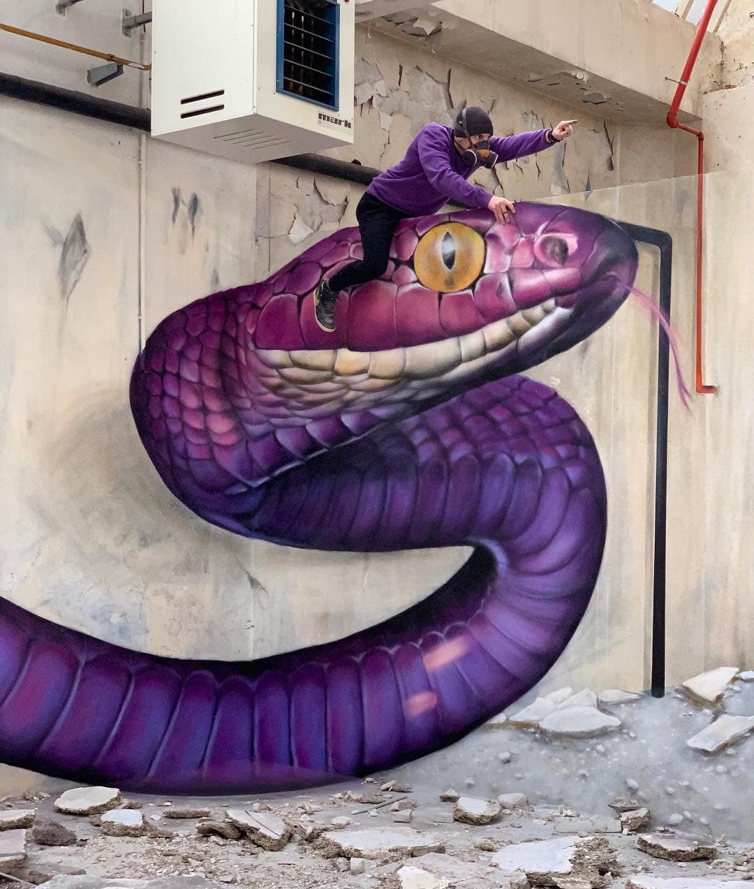 18 граффити от французского мастера, чьи змеи, скорпионы и динозавры выглядят живее всех живых 59