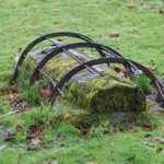 Для чего в старину на кладбищах Англии ставили клетки над могилами