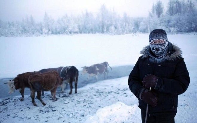 Ты не поверишь, но там живут люди! -67 °C в январе - это самая холодная деревня в мире. 46