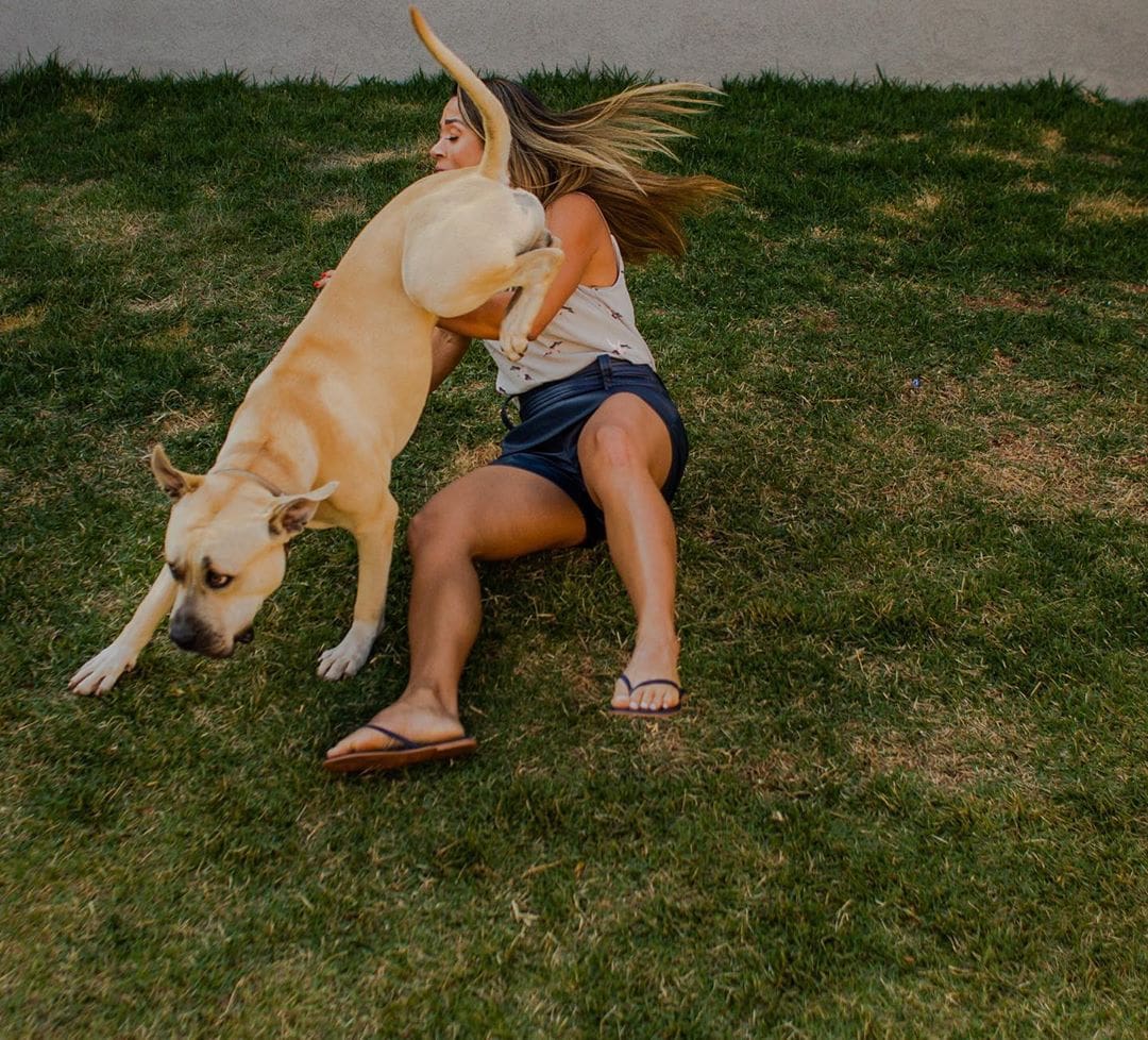«Он спокойный и будет вести себя хорошо»: Пара взяла пса на предсвадебную фотосессию и не прогадала 67