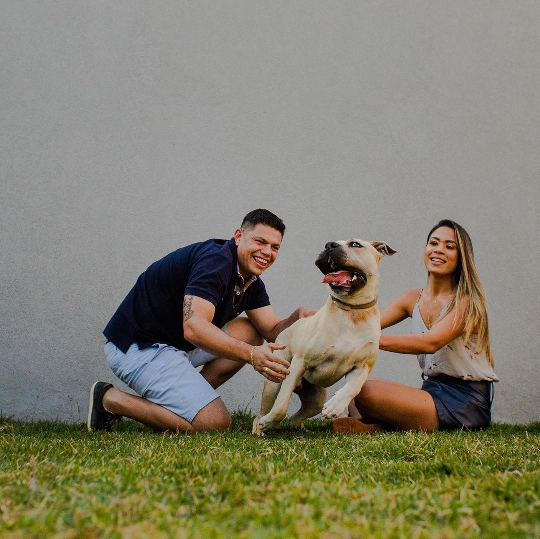 «Он спокойный и будет вести себя хорошо»: Пара взяла пса на предсвадебную фотосессию и не прогадала 69
