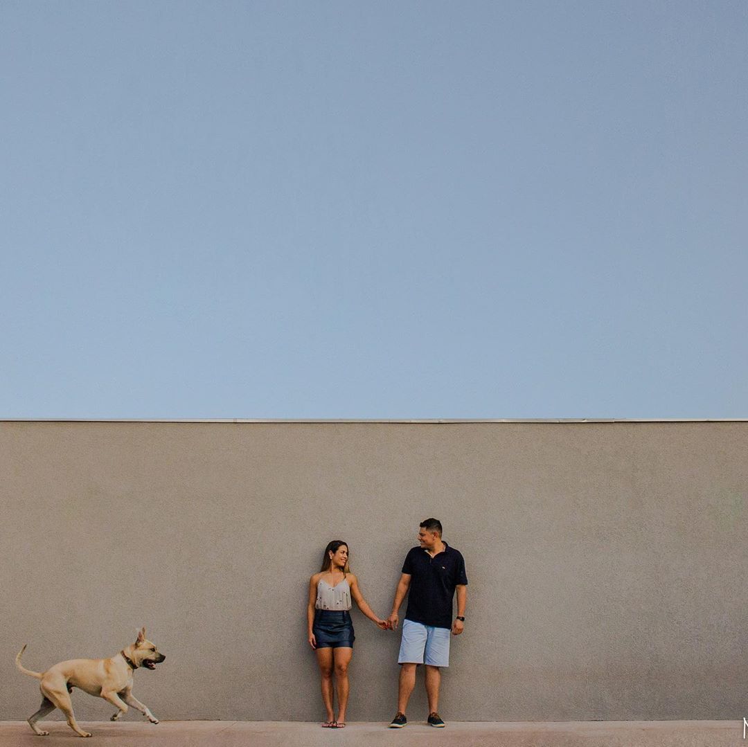 «Он спокойный и будет вести себя хорошо»: Пара взяла пса на предсвадебную фотосессию и не прогадала 70