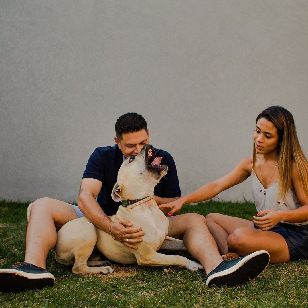 «Он спокойный и будет вести себя хорошо»: Пара взяла пса на предсвадебную фотосессию и не прогадала 75