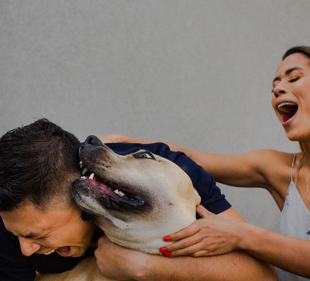 «Он спокойный и будет вести себя хорошо»: Пара взяла пса на предсвадебную фотосессию и не прогадала 80