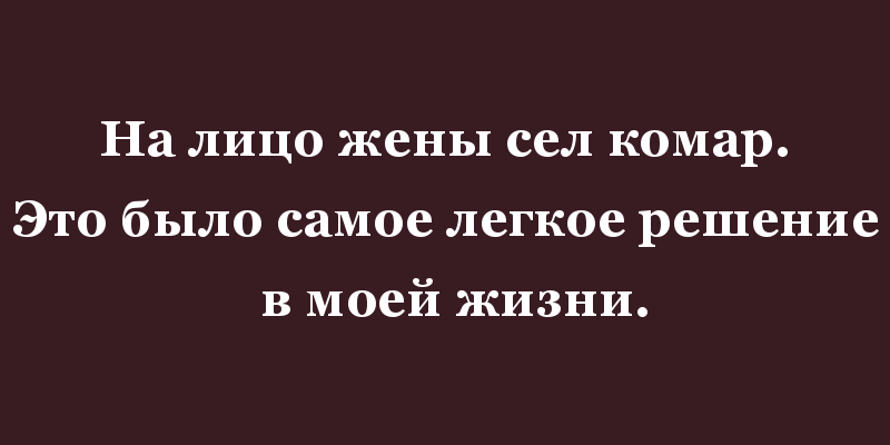 Веселые анекдоты о настоящих семейных отношениях 43