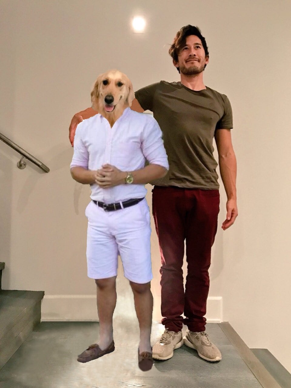 Блогер попросил подписчиков зафотошопить их с собакой, как на картинке, но те устроили смехопанораму 82
