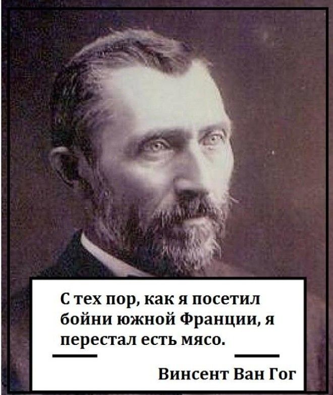 Как бы изменился мир, если бы люди не если мяса? 19