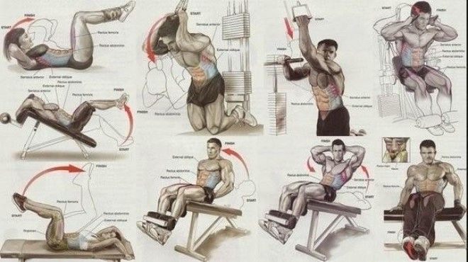 Упражнения на все группы мышц 20
