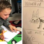 Мальчик хотел найти похищенного пса и рисовал плакаты как мог. Пес найден, а фоторобот стал популярен на весь интернет
