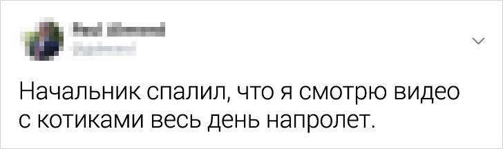 Пользователи Твиттера назвали курьезные причины их уволнения 66