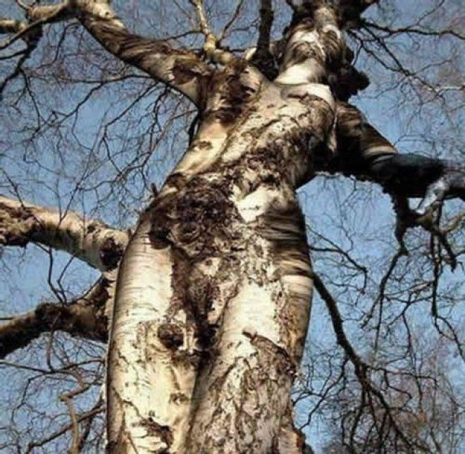 20 лучших скульптур из дерева – невероятное волшебство! 41
