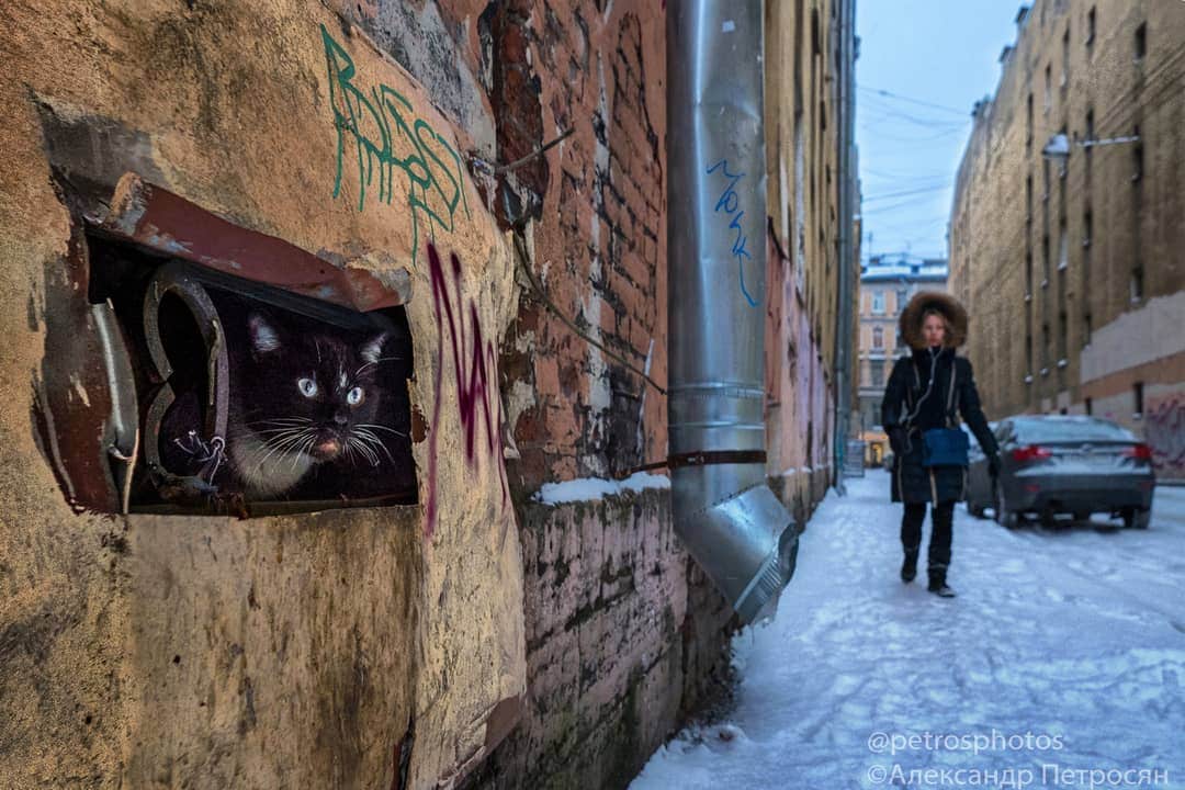 20 невероятных работ российского фотографа, которые как нельзя точно передают колорит наших улиц 73