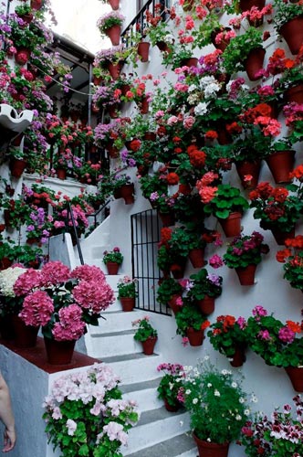 Фото самых красивых «цветочных» домов мира 34
