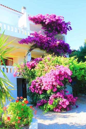 Фото самых красивых «цветочных» домов мира 39