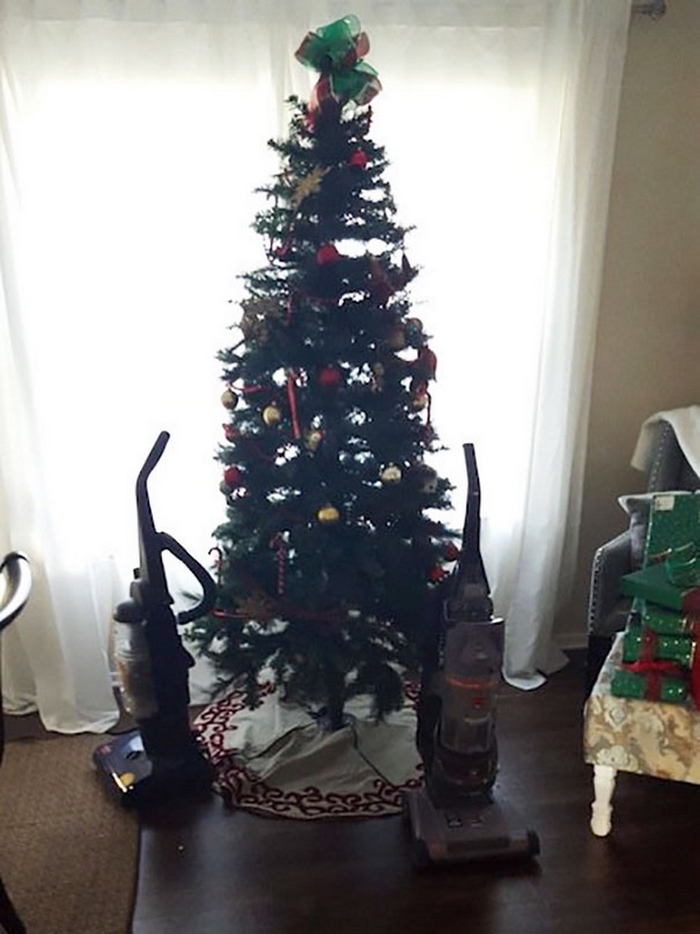 Владельцы домашних питомцев поделились лайфхаками, как сберечь от них новогоднюю елку 57