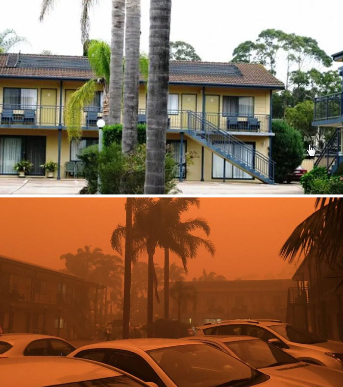 21 снимок “до и после” показывает ужасные последствия пожаров в Австралии 84