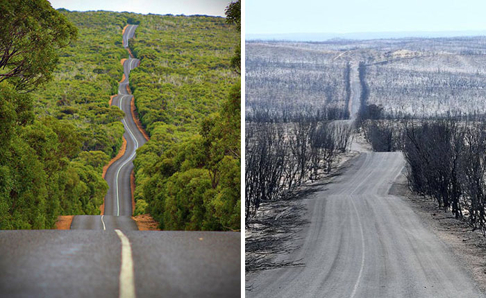 21 снимок “до и после” показывает ужасные последствия пожаров в Австралии 64