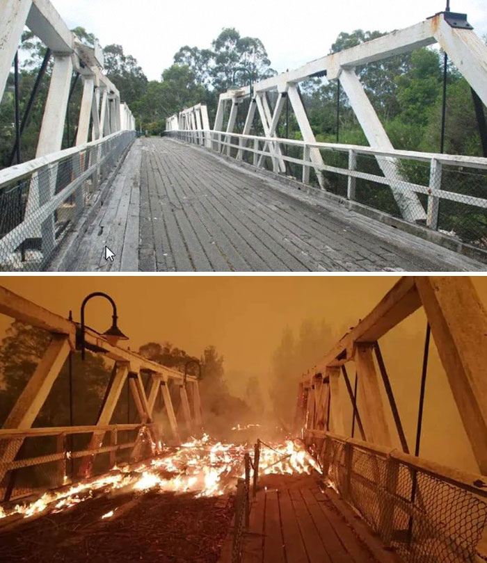 21 снимок “до и после” показывает ужасные последствия пожаров в Австралии 71