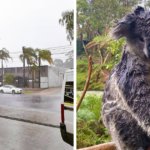 В Австралии наконец-то пошёл дождь! Он затушил около 30 смертоносных пожаров