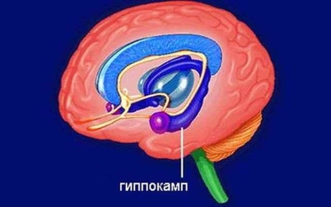 Самые невероятные факты о психопатах 60