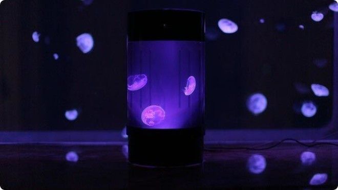 Медузы в аквариуме: новое решение для тех, кто не любит шумных домашних питомцев! 14