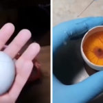Цыплёнка вырастили в открытом яйце и показали, как он там растёт и развивается. И это эксперимент 100 уровня
