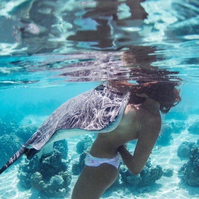 Таитянскую модель, любящую плавать обнаженной с морскими хищниками, называют Королевой скатов 26