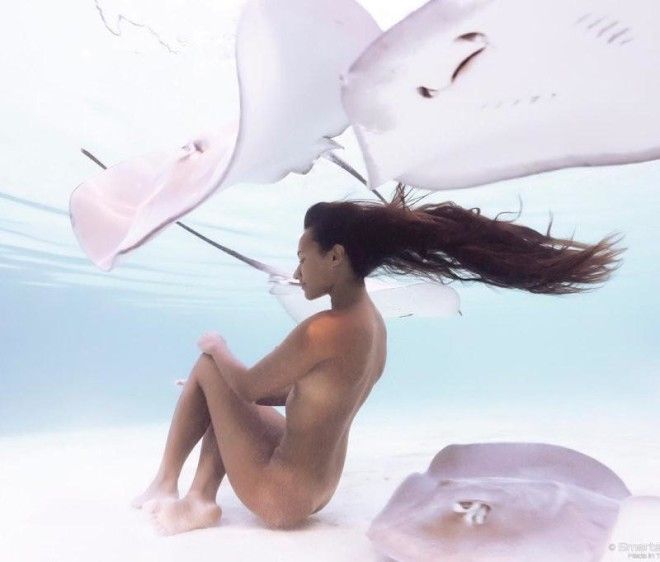 Таитянскую модель, любящую плавать обнаженной с морскими хищниками, называют Королевой скатов 27