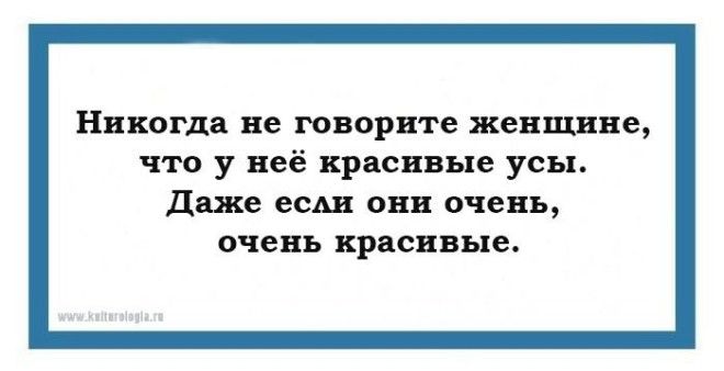 14 саркастических открыток, которые откроют второе дыхание 43