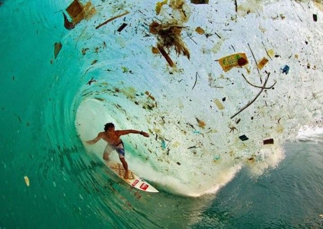 22 жутчайших фото-факта о том, как мусор убивает нашу планету 45