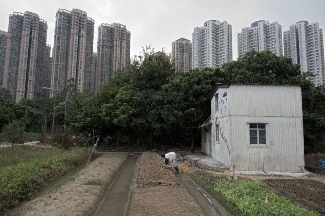 Головокружительные городские пейзажи Гонконга 49