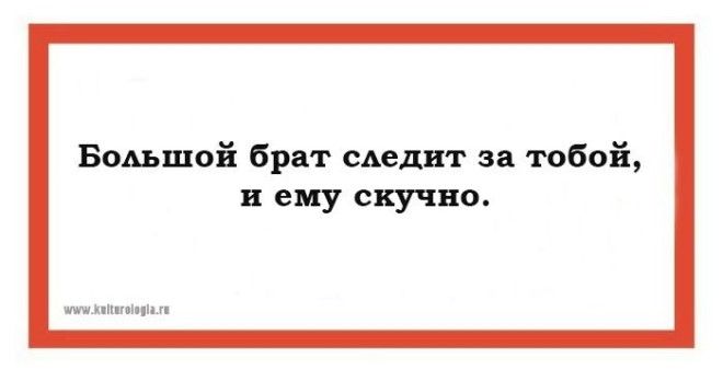 14 саркастических открыток, которые откроют второе дыхание 42