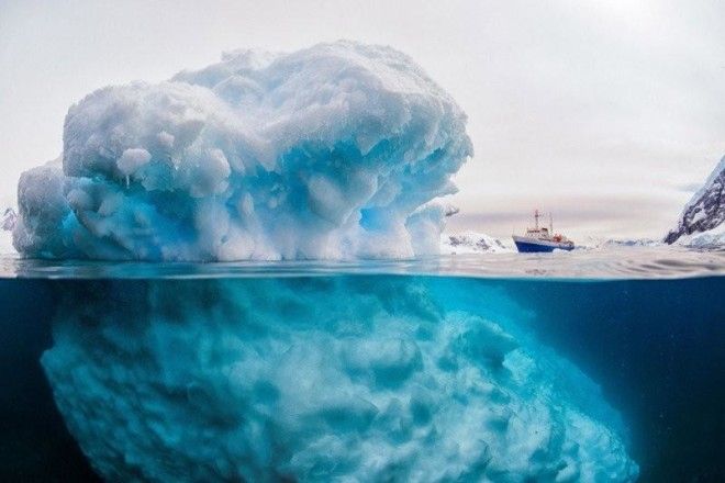 10 невообразимо крутых фактов об Антарктиде, которые вы могли не знать 36