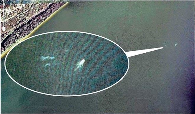 Лохнесское чудовище. Загадочный подводный монстр 34